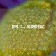 探寻 those 的单数形式