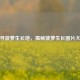 探寻菠萝生长地，揭秘菠萝生长图片大全