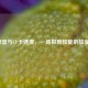 i9处理器与CF卡速度，一场极致性能的较量测试