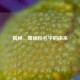 揭秘，螺蛳粉名字的由来