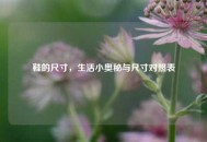 鞋的尺寸，生活小奥秘与尺寸对照表