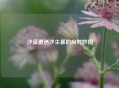 沙漠遭遇沙尘暴的应对妙招