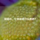 探秘PB，它到底是什么意思？