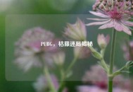 PUBG，枯藤迷局揭秘