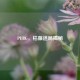 PUBG，枯藤迷局揭秘
