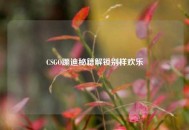 CSGO蹦迪秘籍解锁别样欢乐