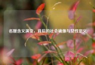 名媛含义演变，背后的社会镜像与女性定义