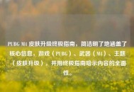 PUBG M4 皮肤升级终极指南，简洁明了地涵盖了核心信息，游戏（PUBG）、武器（M4）、主题（皮肤升级），并用终极指南暗示内容的全面性。