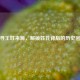 探寻王姓来源，解锁姓氏背后的历史密码