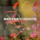 揭秘逆战雷藏飞行技巧及打法