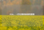 PUBG，一打比赛就崩溃的困境
