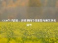 CSGO牛仔改名，游戏里的个性重塑与英文队名探寻