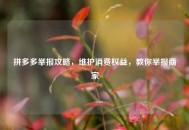 拼多多举报攻略，维护消费权益，教你举报商家
