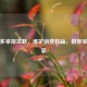 拼多多举报攻略，维护消费权益，教你举报商家