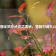 鲜香扇贝粉丝做法揭秘，蒸制时间大公开