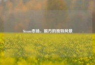 Steam市场，前方的独特风景