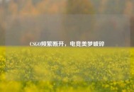 CSGO频繁断开，电竞美梦破碎