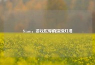 Steam，游戏世界的璀璨灯塔