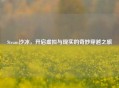 Steam沙冰，开启虚拟与现实的奇妙穿越之旅
