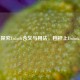 深入探究Unlock含义与用法，档杆上Unlock解析