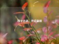 四字吉语，开启新程