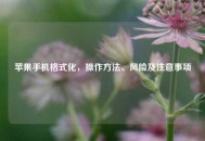 苹果手机格式化，操作 *** 、风险及注意事项