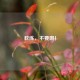 教练，不要啊！