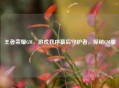 王者荣耀GM，游戏秩序幕后守护者，探秘GM服