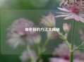 查老赖的 *** 大揭秘