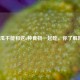南瓜不能和这6种食物一起吃，你了解吗？