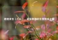 绝地求生（PUBG），紧张***的生存竞技之旅