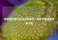碰碰香扦插 *** 及注意事项，开启芳香绿植培育之旅