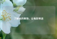 了解龟的食物，让龟好养活