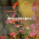 随时待命的意义是什么