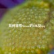 如何查看Steam的URL及app