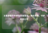 王者荣耀发布举报郑重警告，净化环境，守护竞技公平