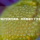 正确护肤顺序揭秘，防晒是第几个步骤？