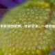 小米手机找回官网，守护安全，一键获取入口