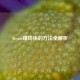 Steam赚钱快的方法全解析