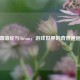毒液蛇与Steam，游戏世界的奇妙邂逅