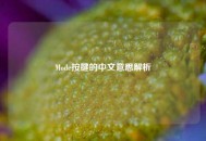 Mode按键的中文意思解析