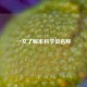 一文了解本科学位名称