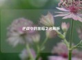 逆战中的黑暗之名解析