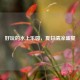好玩的水上乐园，夏日清凉盛宴