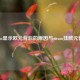 Steam显示欧元背后的原因与steam挂欧元影响