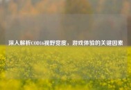 深入解析COD16视野宽度，游戏体验的关键因素
