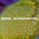 揭秘势能，重力势能的含义与应用