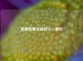 英雄联盟无畏战士，泰伦