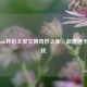 从Steam开启太空文明奇妙之旅，却遭遇卡顿困扰