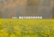 CSGO，便宜又保密的游戏体验